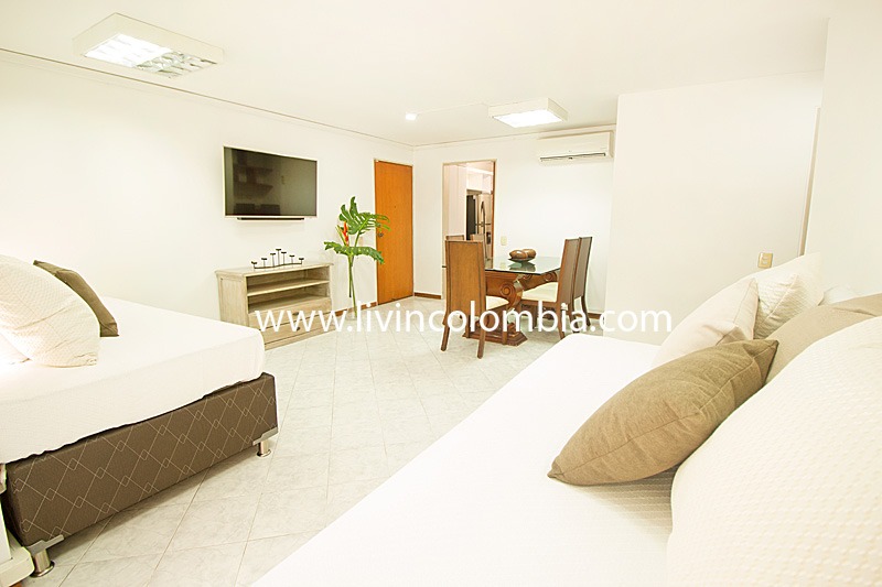San Fernando Suite 101 - Apartamento de 2 habitaciones - 101ALM